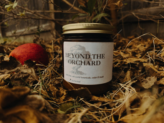 Beyond the Orchard Candle | Wild Plum, Cedar & Cinnamon | Non-Toxic 7.4 oz